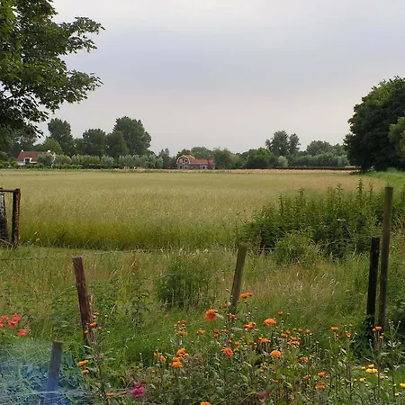 Berkenrode Rockanje