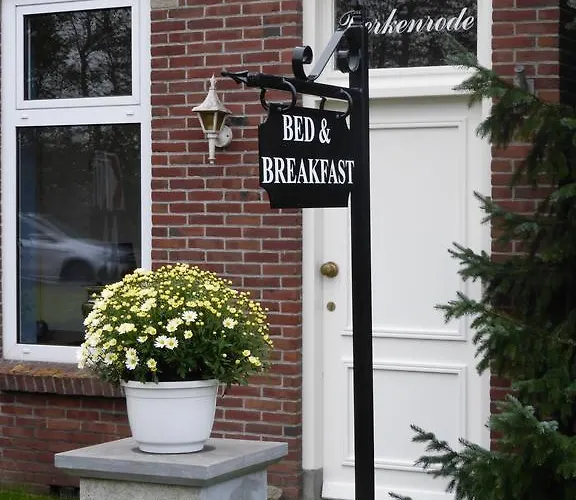 Berkenrode * Rockanje