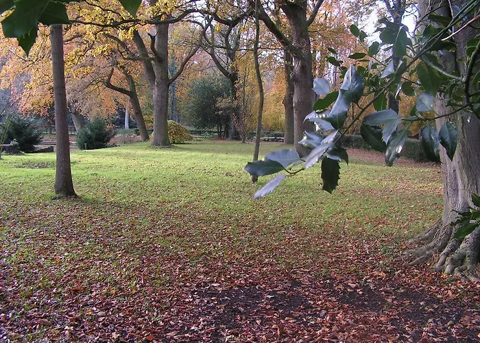 Berkenrode Bed and breakfast Rockanje