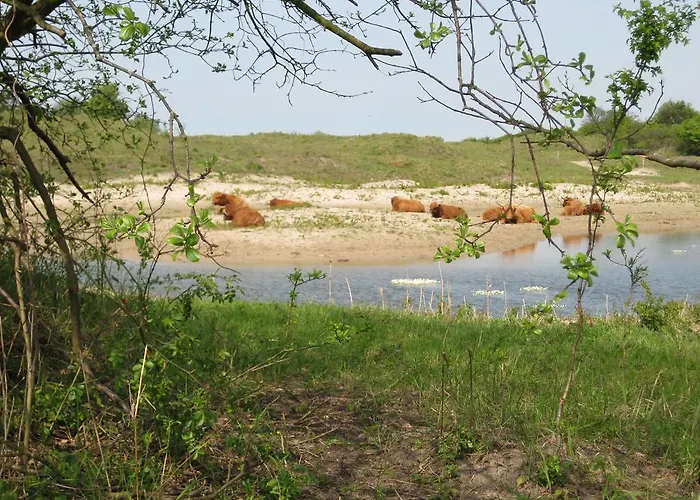 Berkenrode * Rockanje