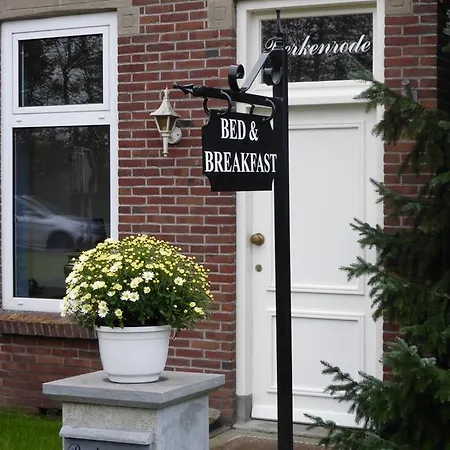 Berkenrode * Rockanje