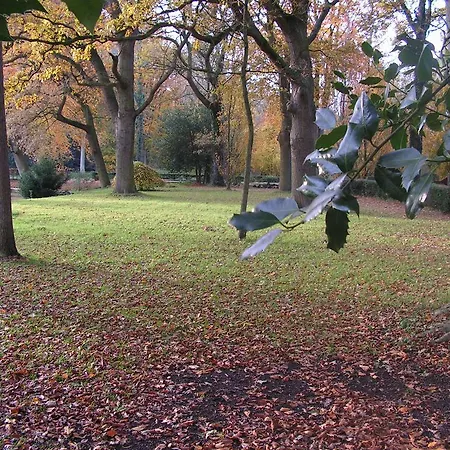 Berkenrode Nocleg ze śniadaniem Rockanje