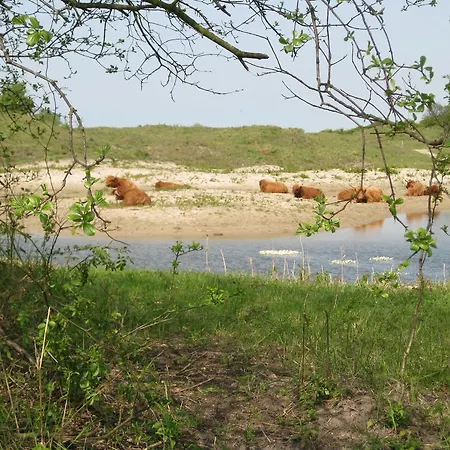Berkenrode * Rockanje